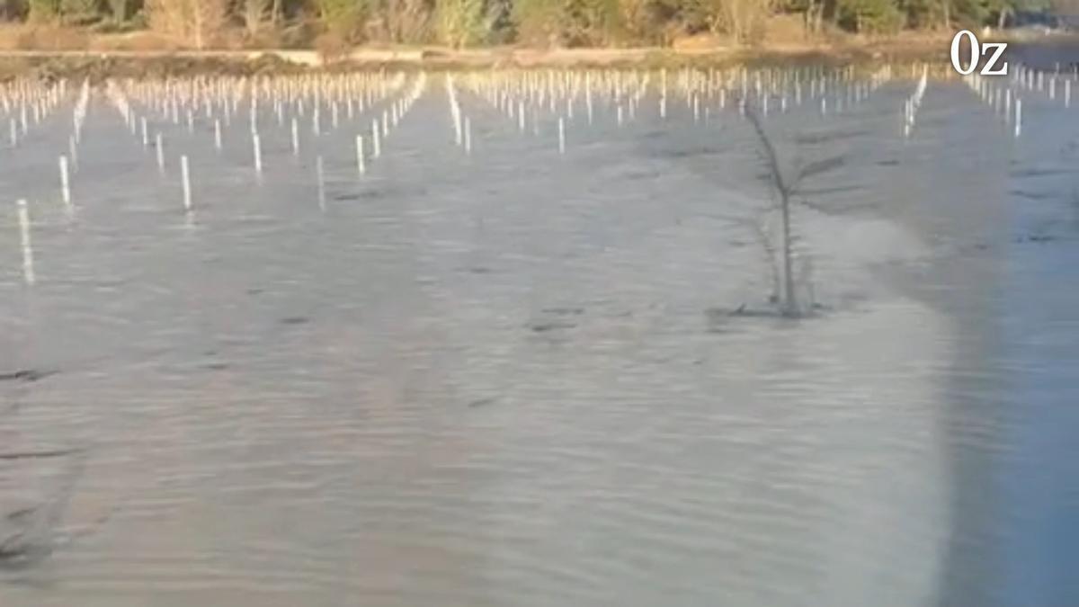 Cortada la N-122 a la altura de Toro por el desbordamiento del Duero