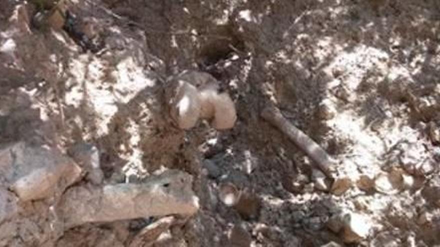 El desgaste de un talud deja al descubierto restos humanos en Fuentes de Ayódar
