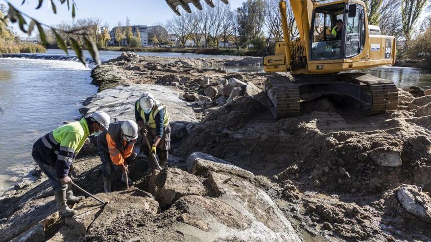 VÍDEO | Finaliza la reparación del azud de Cabañales: la isla de Los Conejos, a salvo