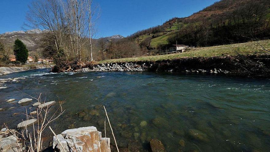 El cauce del río Aller, en el lugar donde se llevó a cabo una de las intervenciones.