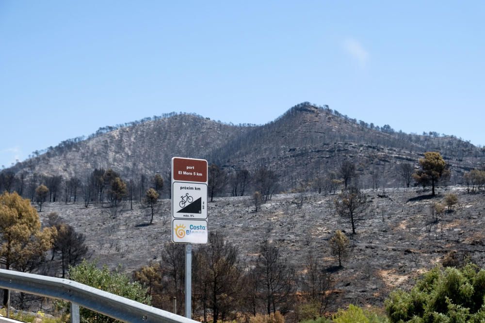 Así ha quedado la zona tras el incendio.