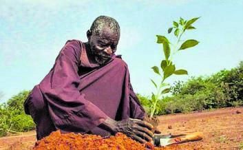 YACOUBA SAWADOGO.- El burkinés conocido como ‘el hombre que paró el desierto’.