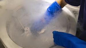 La congelació dels òvuls es dispara un 1.300% en una dècada