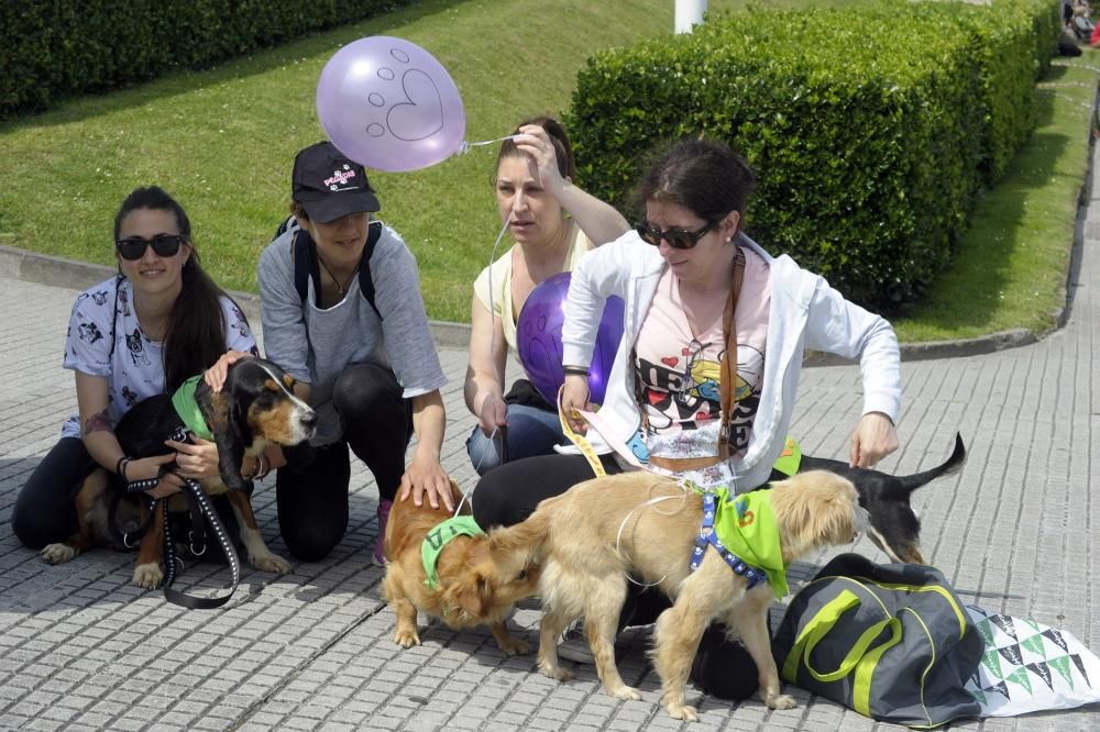 Las imágenes del ''Día del Deporte en la Calle''