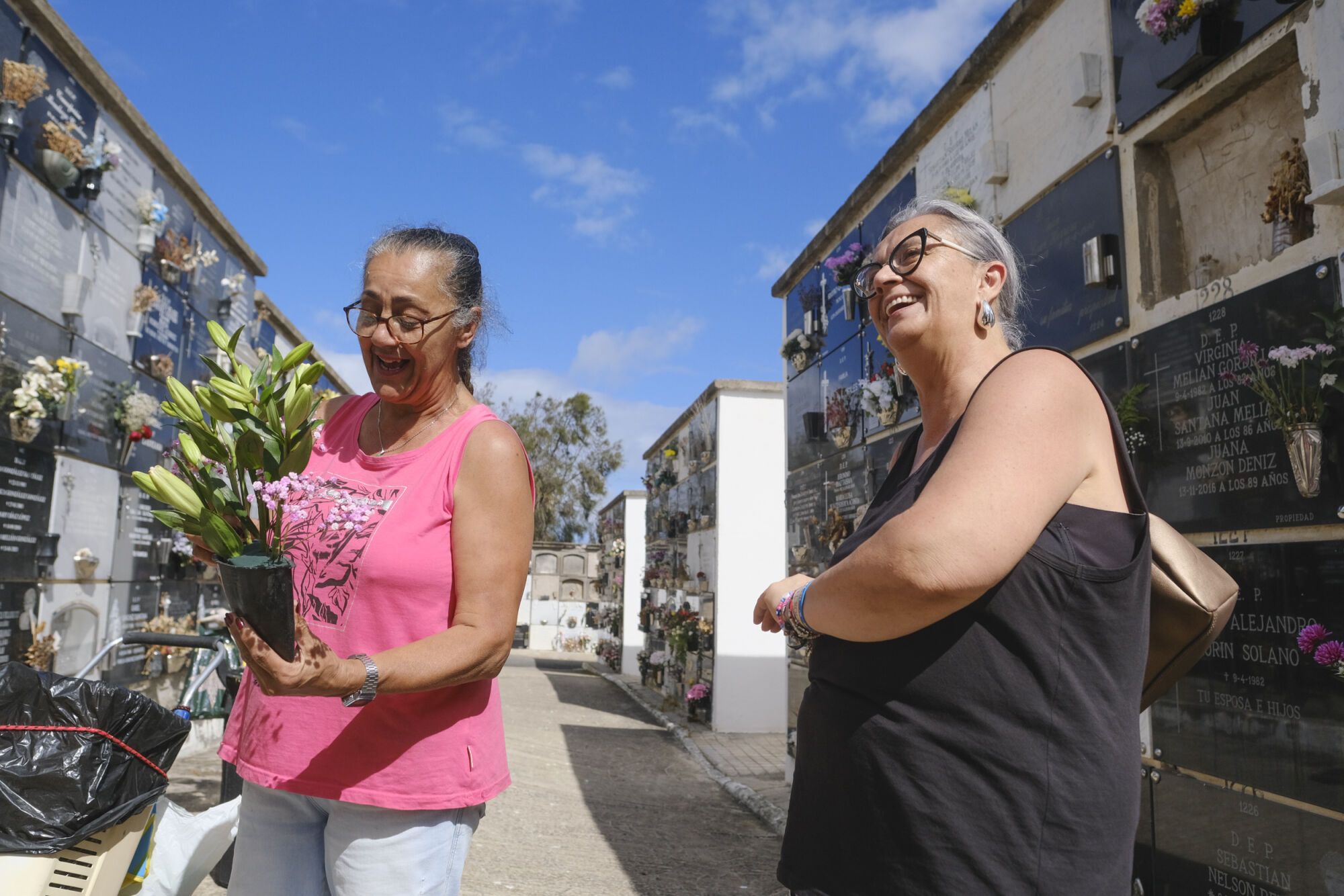 El cementerio de San Lázaro se prepara para el Día de Todos los Santos