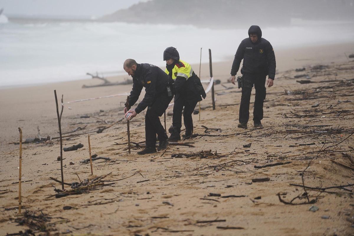 Imatges de la balena morta arrossegada pel temporal a la costa de Platja d'Aro