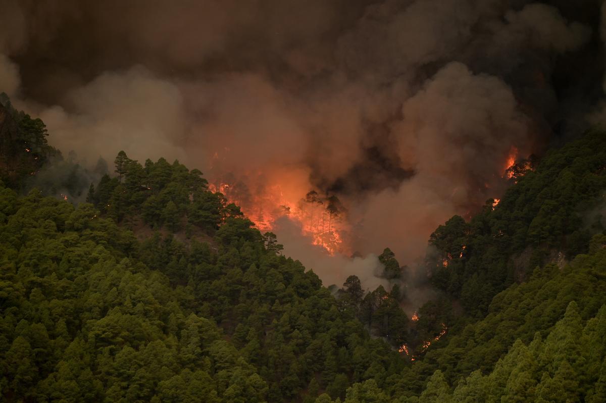 El incendio forestal de Tenerife, sin control