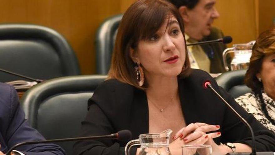 Sara Fernández: “Al alcalde no le han informado de la cesión de Río y Juego&quot;