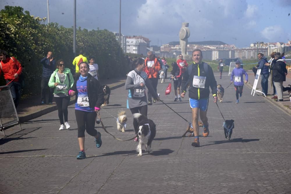 Correcán Solidario en la zona de la Torre