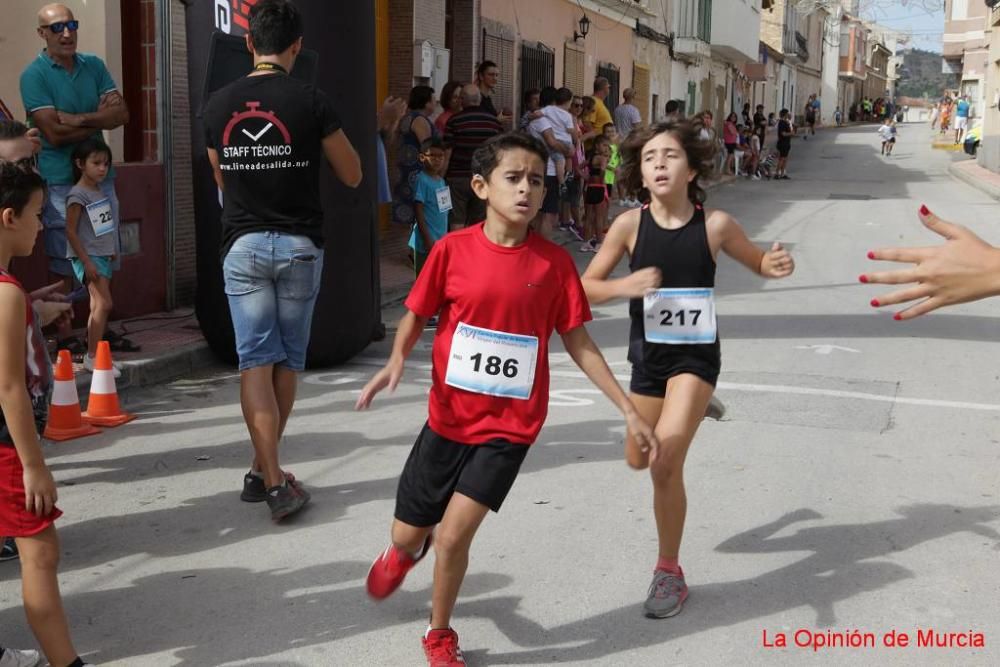 Carrera Virgen del Rosario de Barinas