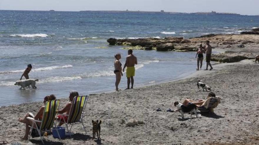 Usuarios con sus mascotas en la «Caleta dels Gossets» en Santa Pola.