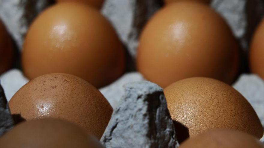 El rastro de la salmonela está muy presente en los huevos.