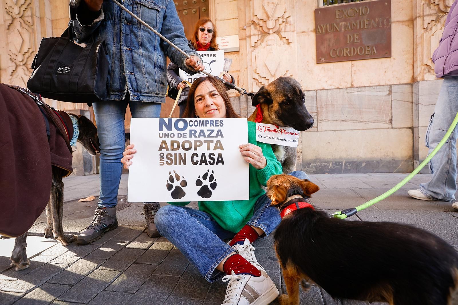 Un paseo con perros para fomentar la adopción
