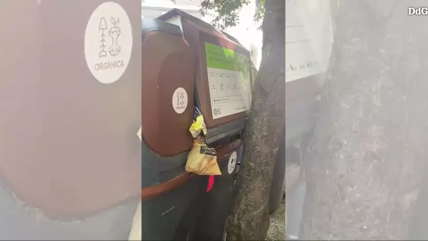 Vídeo: Els contenidors intel·ligents col·locats arran dels arbres