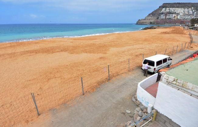 PLAYA TAURO ANFI