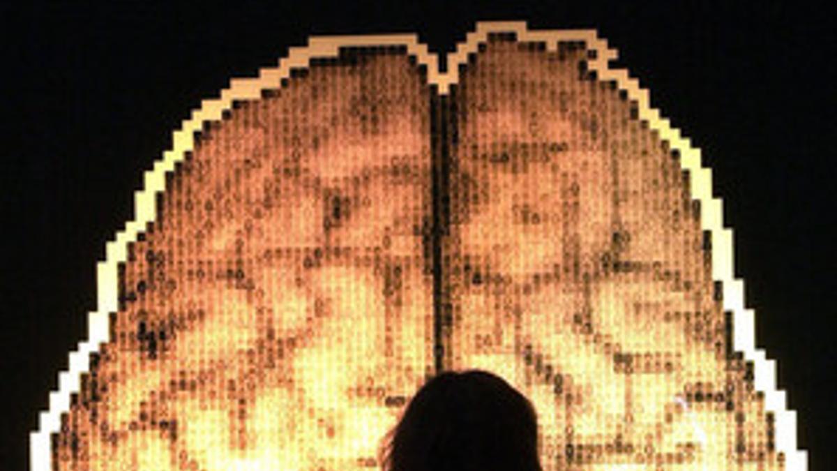 Exposición sobre el cerebro.
