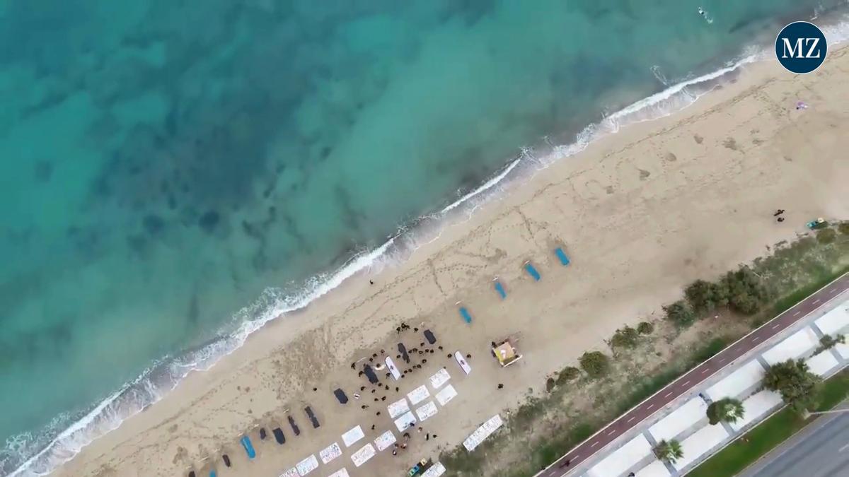 Tarifvertrag-unterzeichnet-Rettungsschwimmer-auf-Mallorca-erhalten-bessere-Arbeitsbedingungen