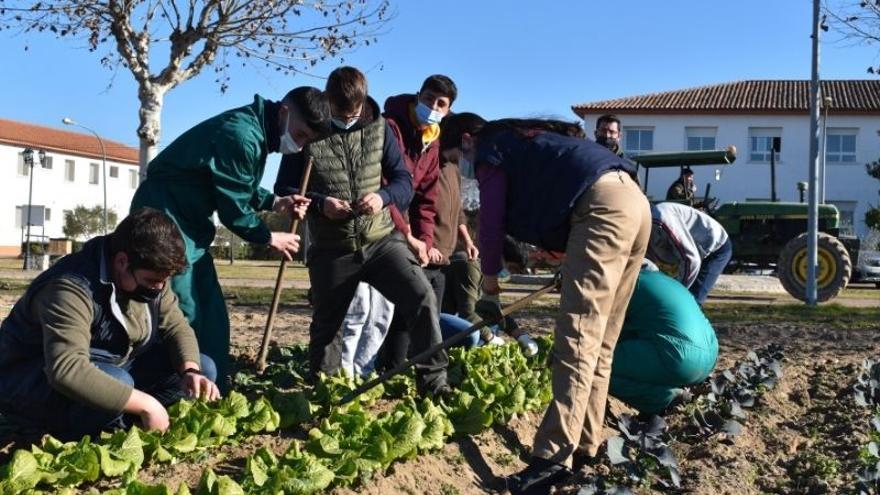 Un grupo de alumnos comprueban el estado de un cultivo.