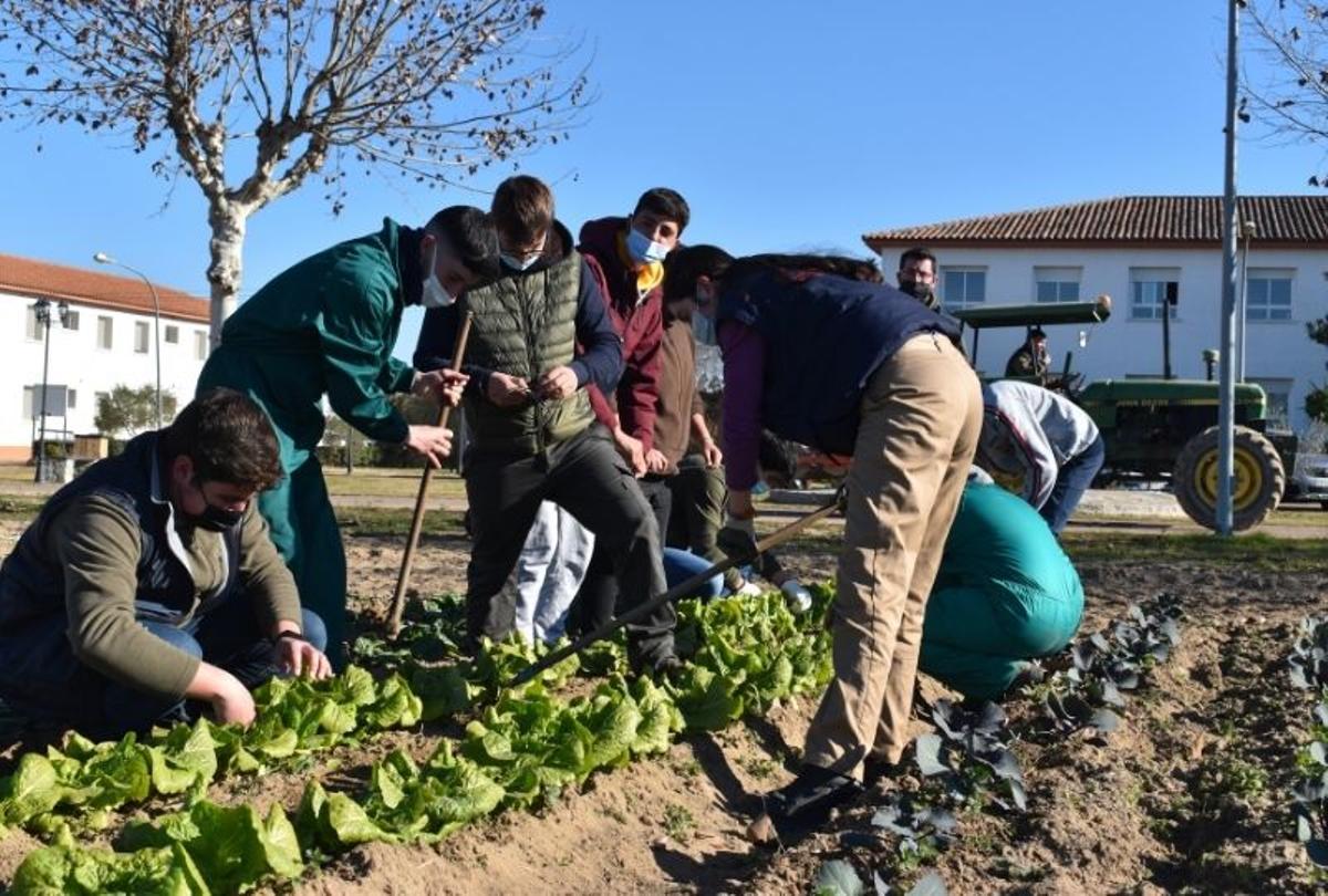 Un grupo de alumnos comprueban el estado de un cultivo.