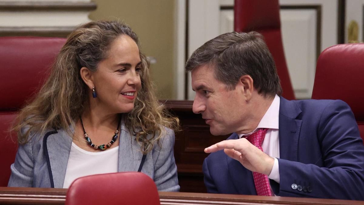 Nicasio Galván habla con su compañera de Vox Paula Jover en sus escaños del Parlamento de Canarias.