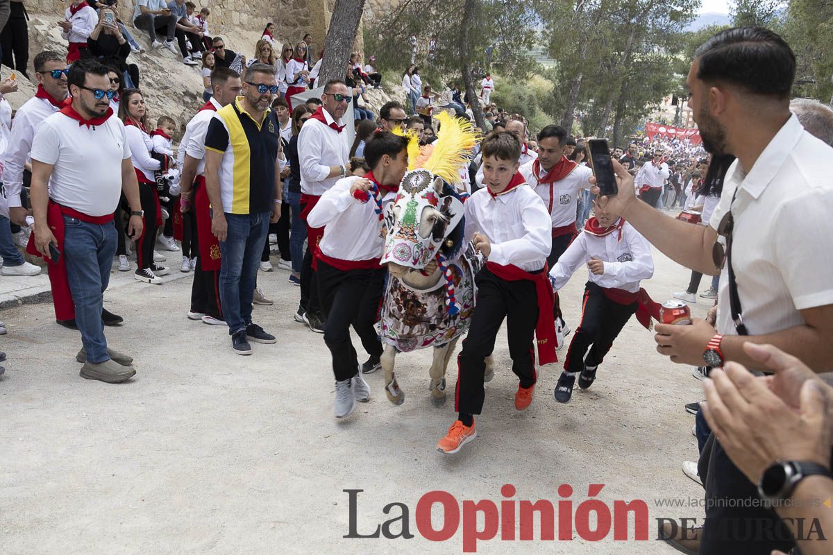 Fiestas de Caravaca | Desfile infantil del Bando de los Caballos del Vino