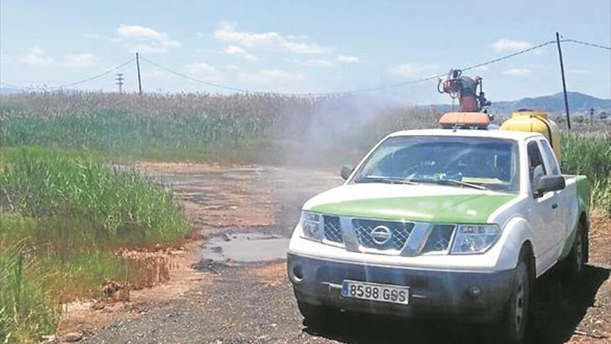 Benicàssim ataca al mosquito en torno al Cuadro de Santiago