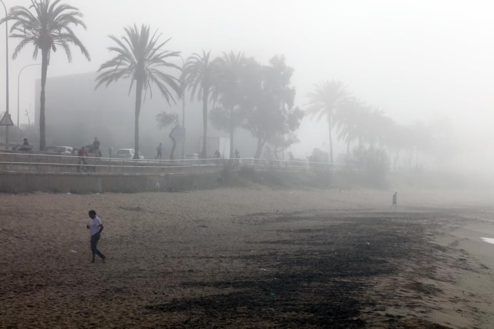 Palma amanece cubierta por la niebla