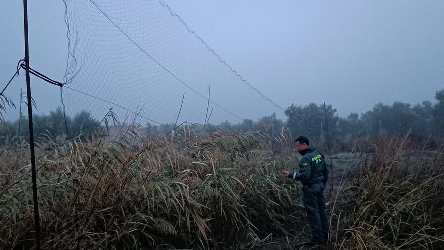 El Seprona investiga a un vecino de Bujalance y otro de Adamuz por cazar pajaritos con redes de niebla y chifle