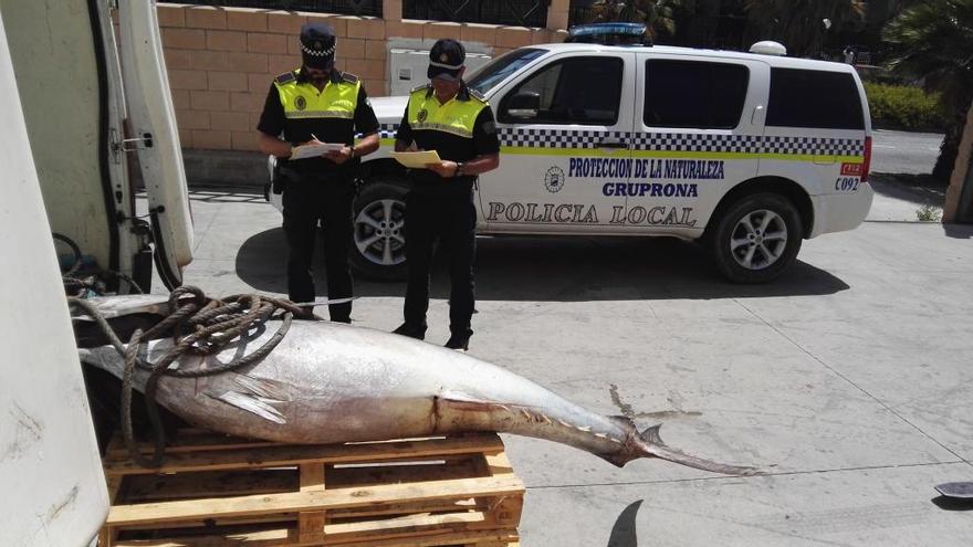 Han sido decomisados 10 atunes con casi 10.000 kilos.