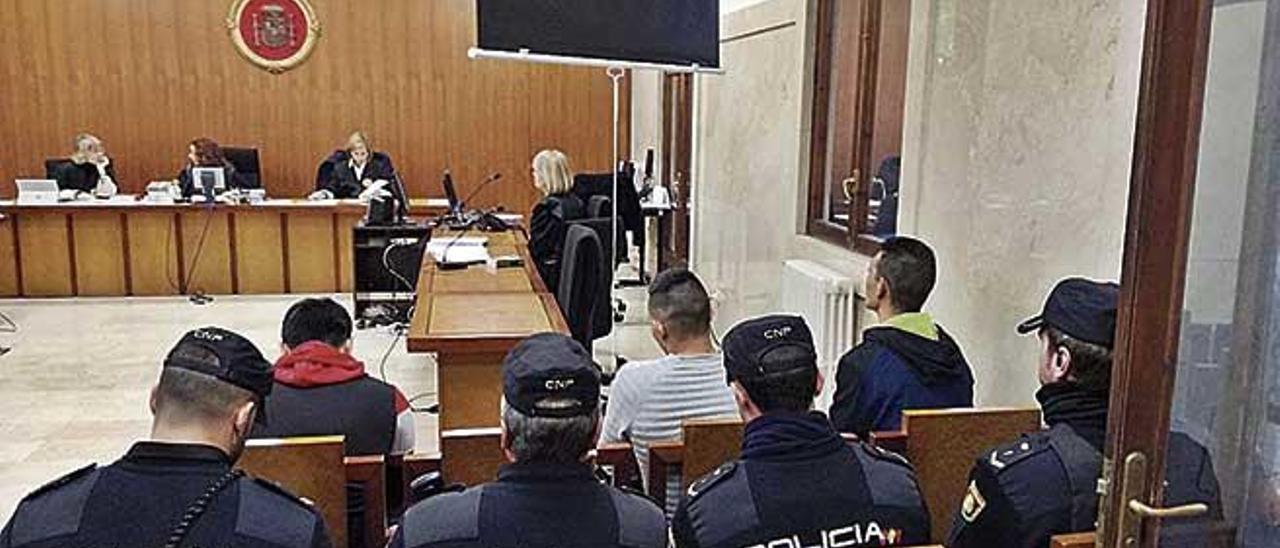 Los tres jóvenes ladrones acusados, durante el juicio celebrado en la Audiencia de Palma.