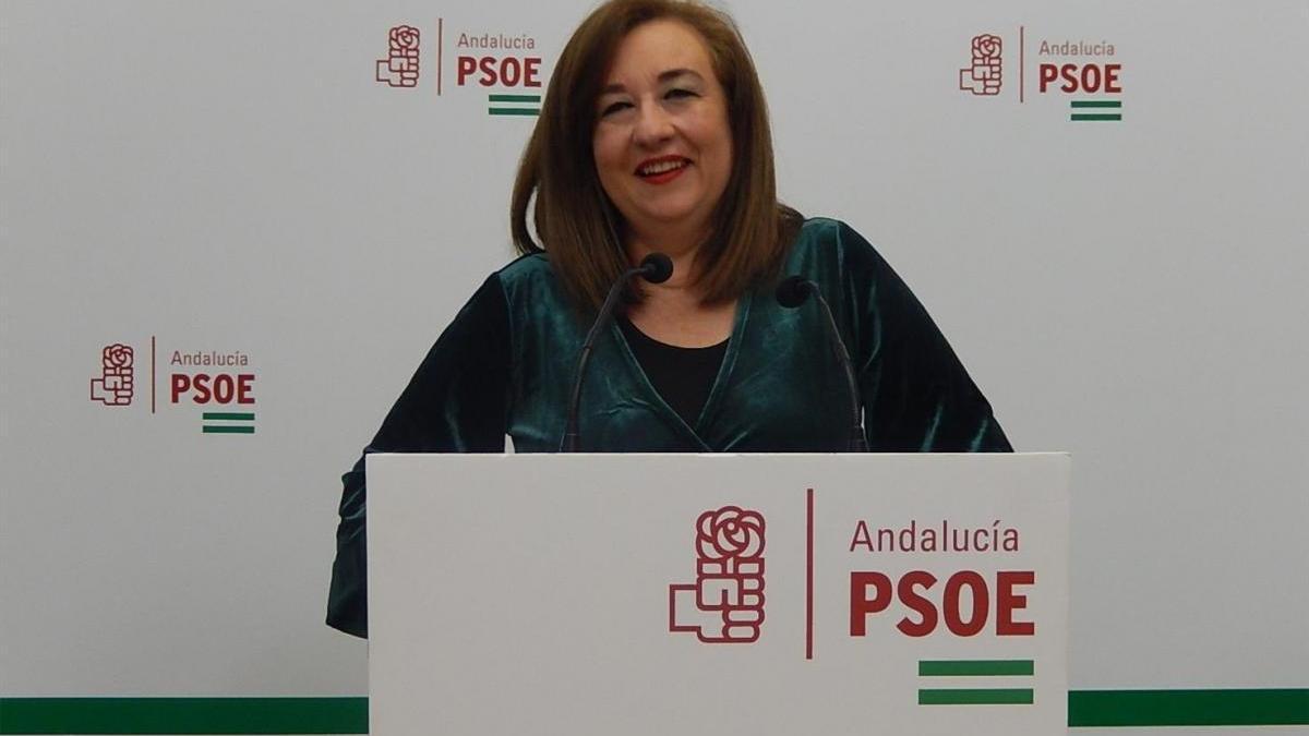 Coronavirus: el PSOE afea a Junta la contratación de &quot;tan solo&quot; 29 profesionales para residencias