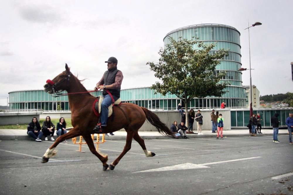 Los caballos comienzan a trotar en Lalín