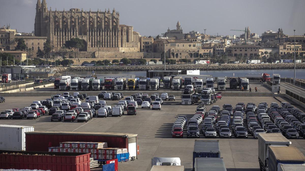 Camiones estacionados en el puerto de Palma