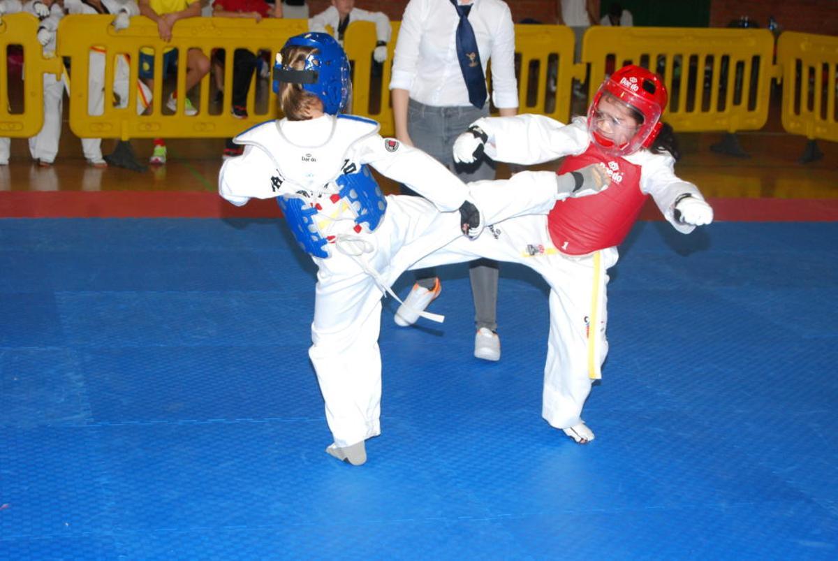 Un arte marcial en constante evolución