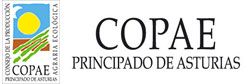 COPAE logo