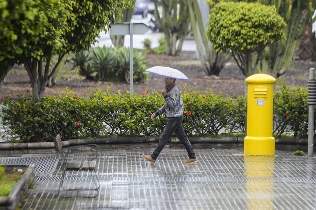 LLUVIA SIETE PALMAS