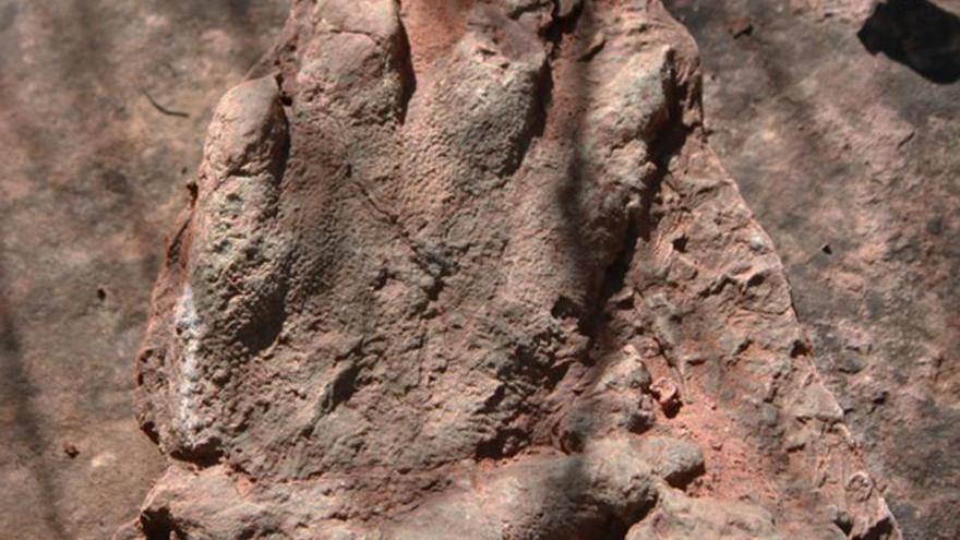 Hallada una huella fosilizada de reptil de hace 230 millones de años