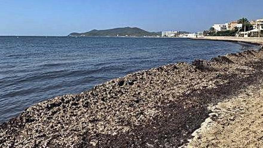 Platja d&#039;en Bossa sin rastro de turistas ayer por la mañana.