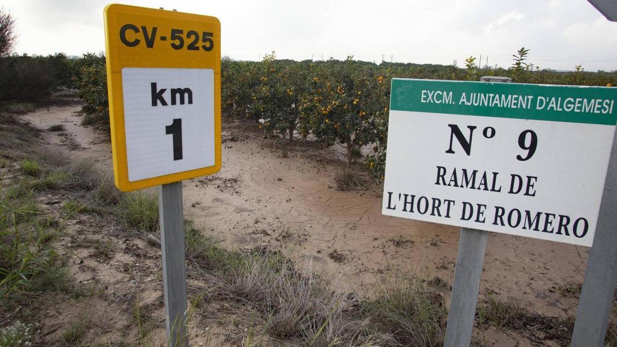 Un campo afectado por la inundación en el término de Algemesí.