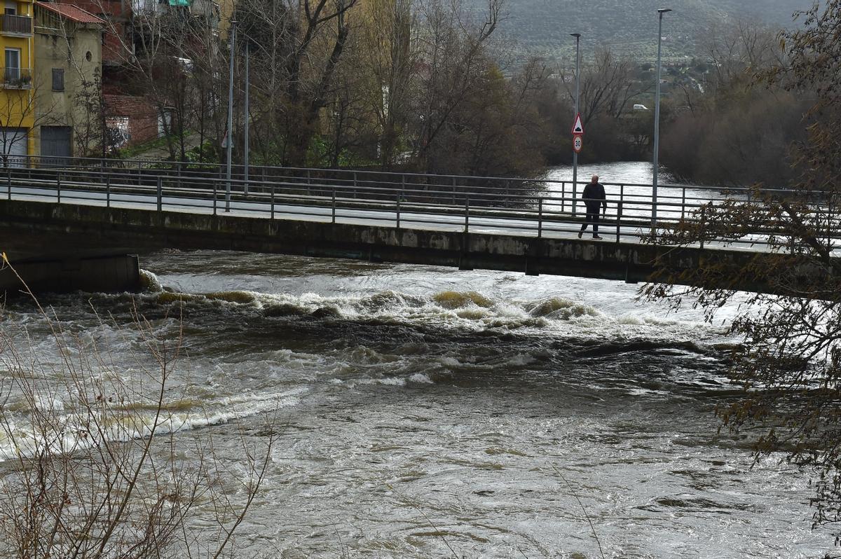 Río Jerte, ayer, a su paso por Plasencia.