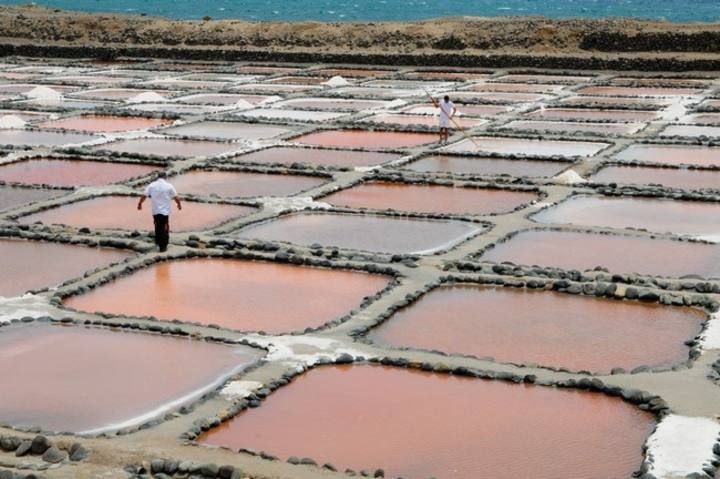 Reportaje en las Salinas de Tenefe en Pozo Izquierdo