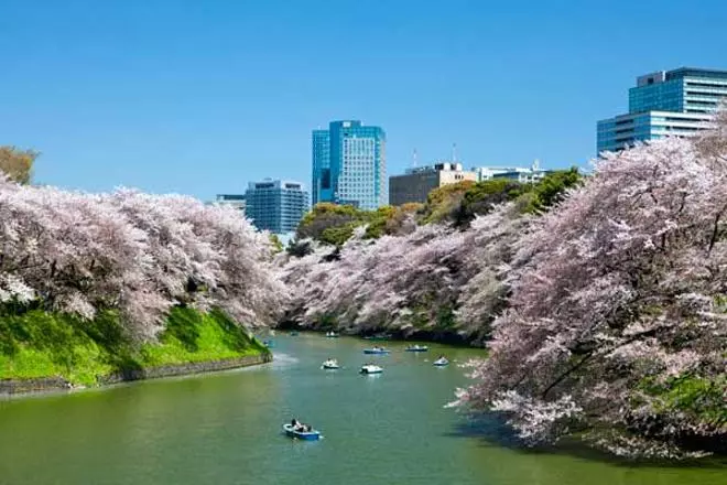 Los destinos de Asia que hay que visitar en 2013