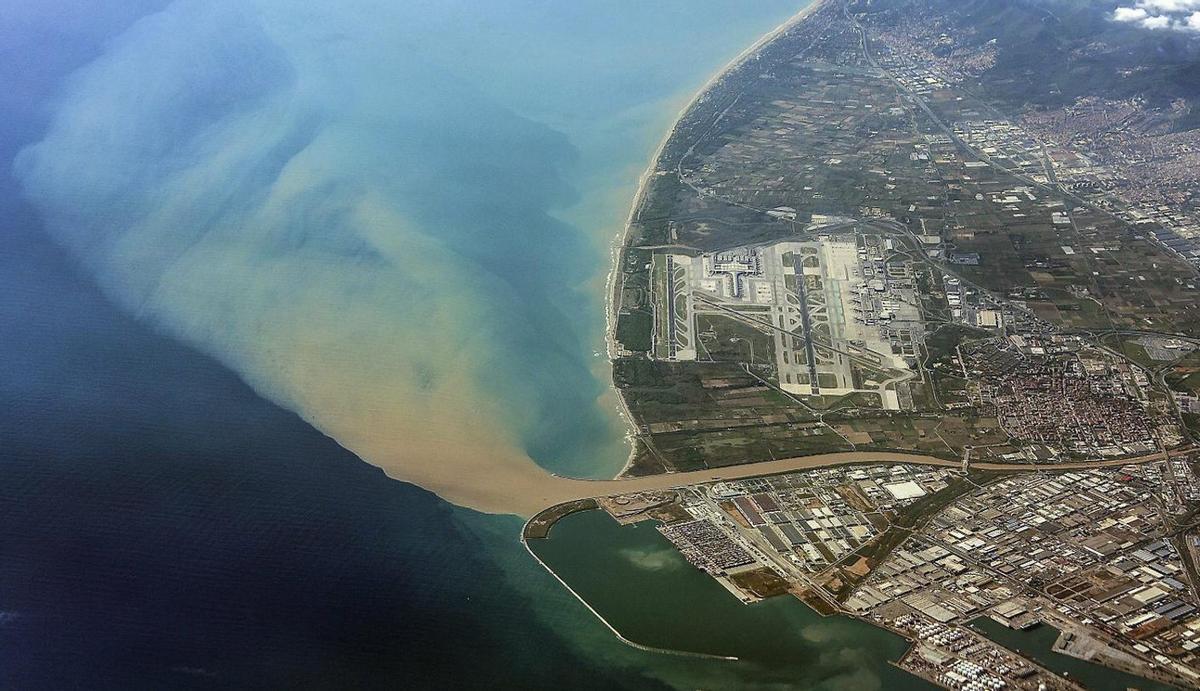 Les pluges avancen la temporada de balenes a la costa catalana