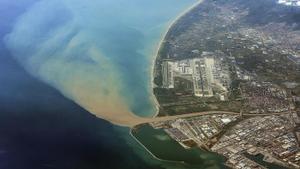 Les pluges avancen la temporada de balenes a la costa catalana