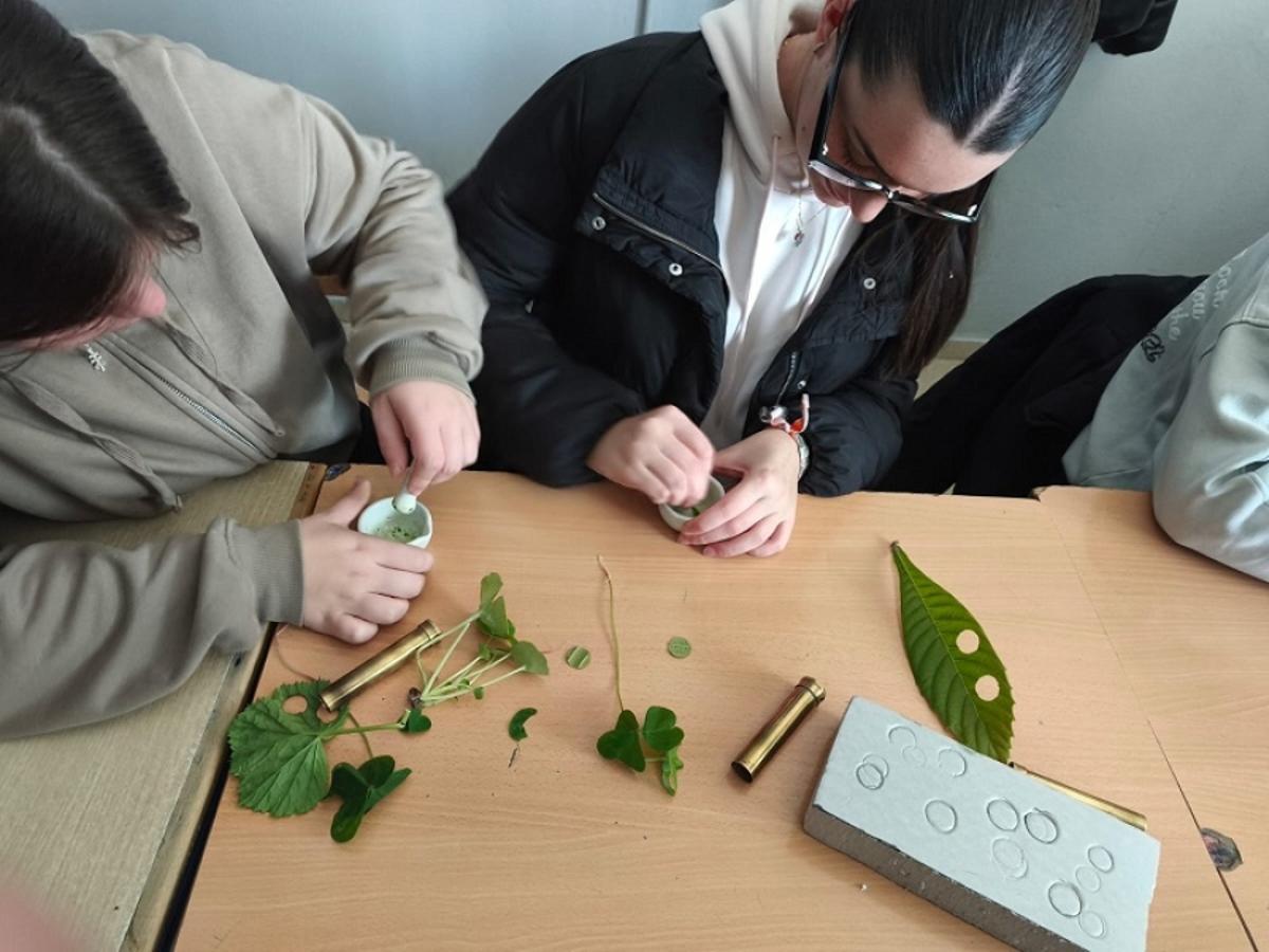 Alumnas, durante la realización del taller ‘Del satélite a tu bosque’.