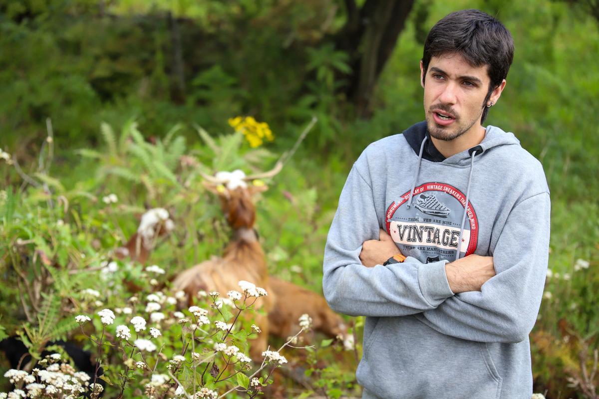 El paso de la borrasca Therese precipita el cierre de la quesería más joven de La Palma