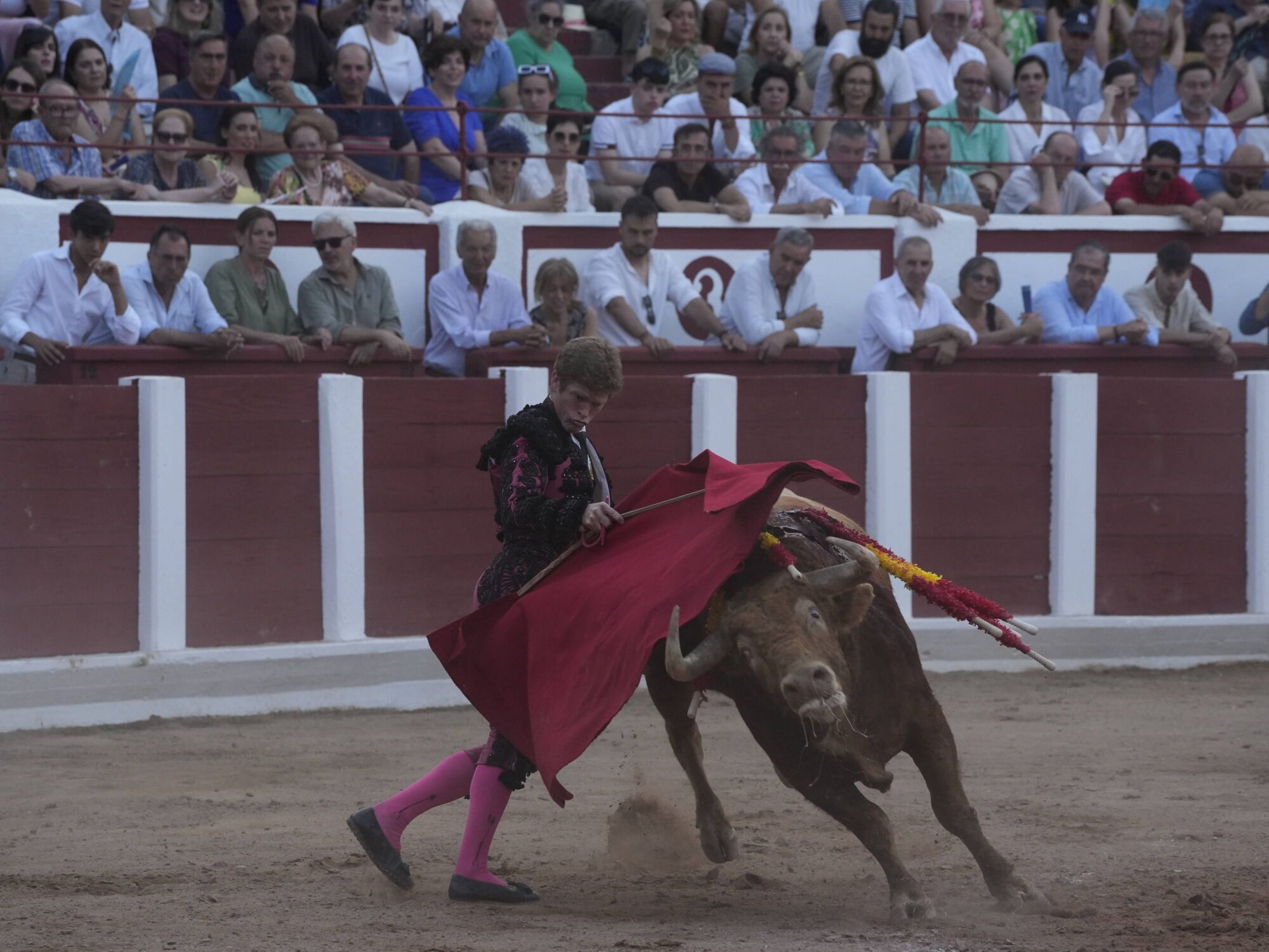 Las mejores imágenes de la feria taurina de San Pedro en Zamora.