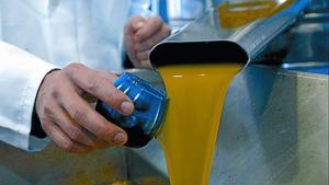 Producció d’oli en una almàssera de Jaén.