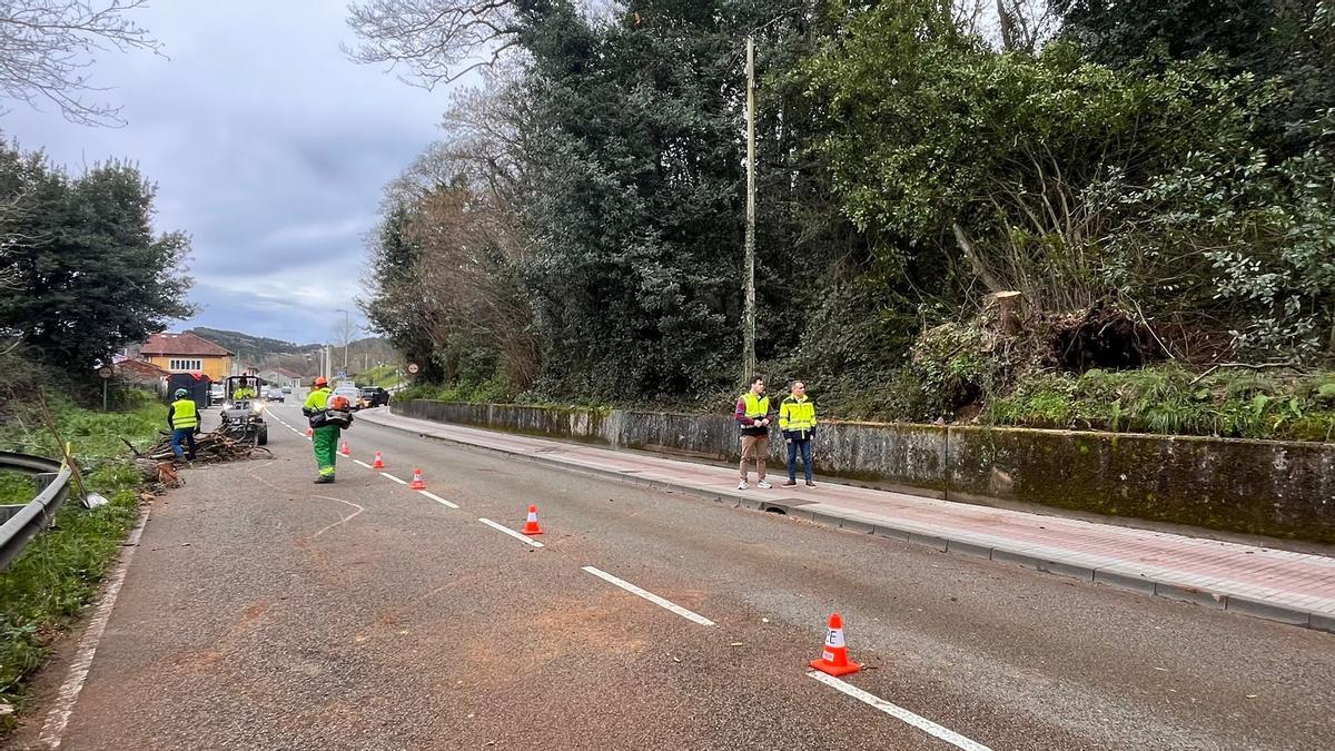 Iván Fernández y Jorge Suárez ante los árboles talados en el entorno de la fuente de La Consolación, con un carril cortado al tráfico. .