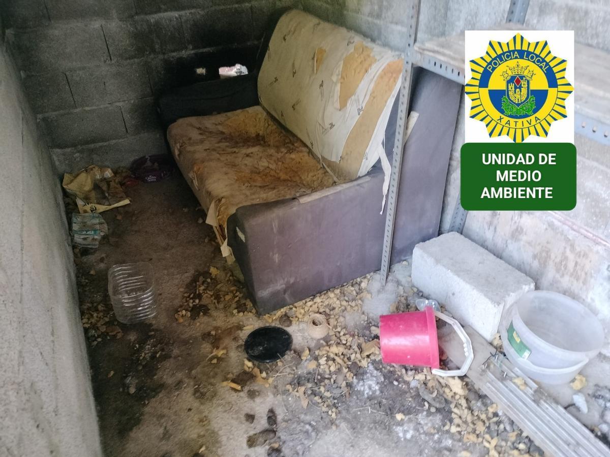 Recinto insalubre en el que se encontraba la perra rescatada en Novetlé.